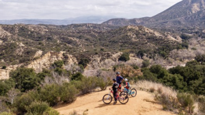 A vibrant dog park bathed in sunlight features abundant greenery with mature trees, offering ample shade for leisurely outdoor activities. In the distance is a well-equipped playground that presents an additional activity area. An inviting picnic table spreads out nearby, ideal for enjoying meals al fresco or taking relaxing breaks from play. A neatly-placed trash bin aids in maintaining the park's cleanliness for everyone's enjoyment. Dominating the scene is a generously wide dirt path gracefully curving through the expanse of grass, promising exploratory walks and lively fetch games.